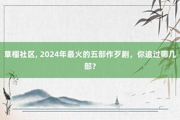 草榴社区， 2024年最火的五部作歹剧，你追过哪几部？