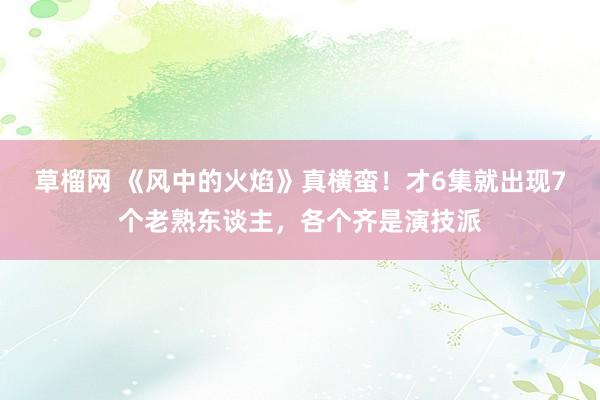 草榴网 《风中的火焰》真横蛮！才6集就出现7个老熟东谈主，各个齐是演技派