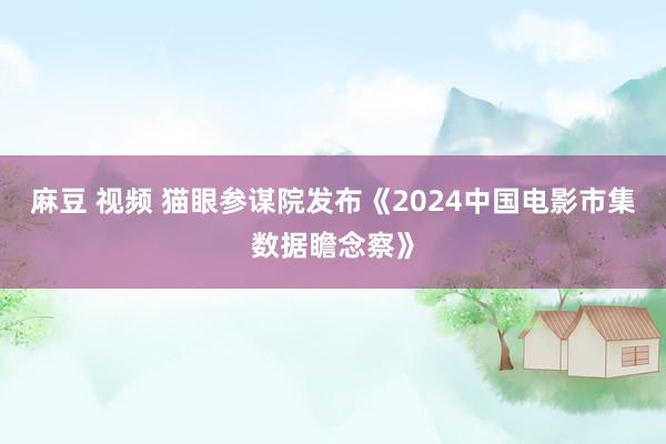 麻豆 视频 猫眼参谋院发布《2024中国电影市集数据瞻念察》