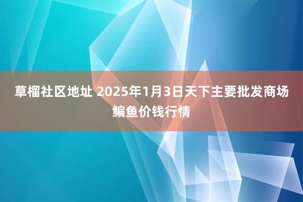 草榴社区地址 2025年1月3日天下主要批发商场鳊鱼价钱行情