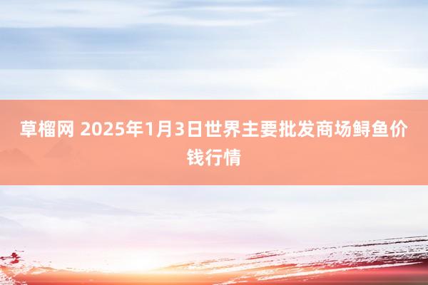 草榴网 2025年1月3日世界主要批发商场鲟鱼价钱行情