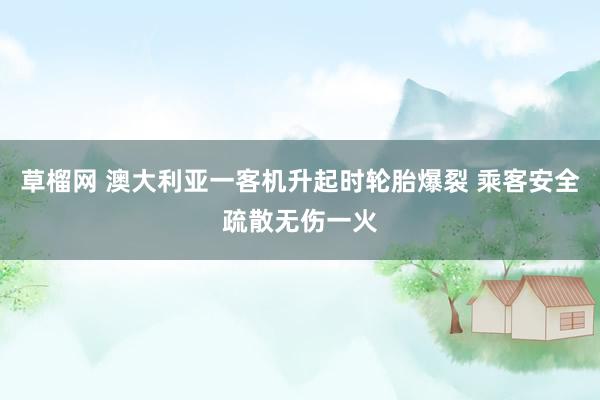 草榴网 澳大利亚一客机升起时轮胎爆裂 乘客安全疏散无伤一火