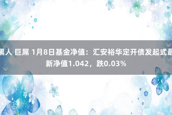 黑人 巨屌 1月8日基金净值：汇安裕华定开债发起式最新净值1.042，跌0.03%