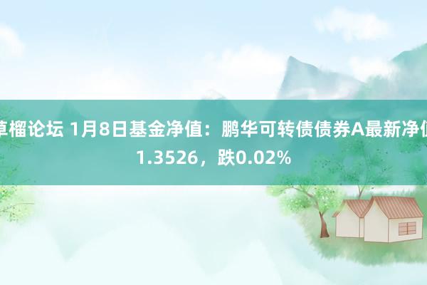 草榴论坛 1月8日基金净值：鹏华可转债债券A最新净值1.3526，跌0.02%