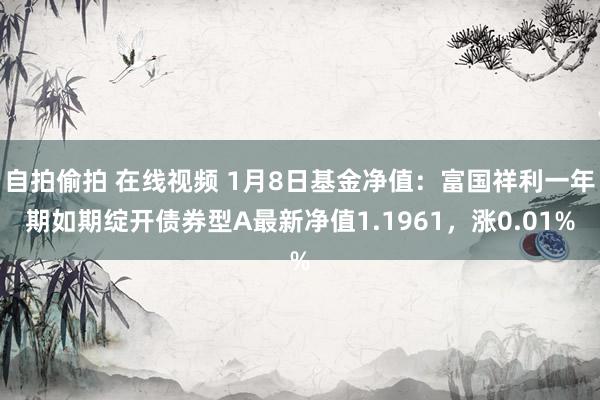 自拍偷拍 在线视频 1月8日基金净值：富国祥利一年期如期绽开债券型A最新净值1.1961，涨0.01%