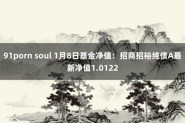 91porn soul 1月8日基金净值：招商招裕纯债A最新净值1.0122