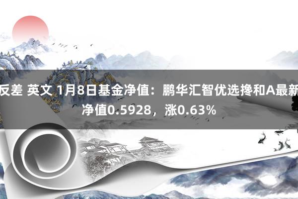 反差 英文 1月8日基金净值：鹏华汇智优选搀和A最新净值0.5928，涨0.63%