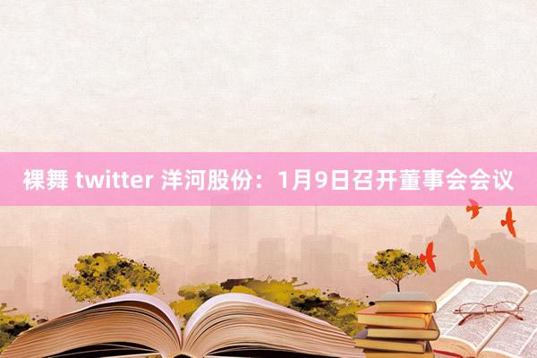 裸舞 twitter 洋河股份：1月9日召开董事会会议