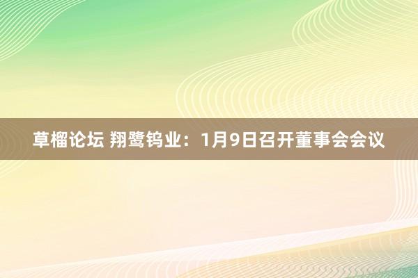 草榴论坛 翔鹭钨业：1月9日召开董事会会议