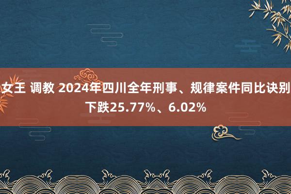 女王 调教 2024年四川全年刑事、规律案件同比诀别下跌25.77%、6.02%