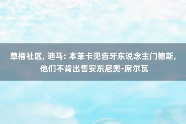 草榴社区， 迪马: 本菲卡见告牙东说念主门德斯， 他们不肯出售安东尼奥-席尔瓦