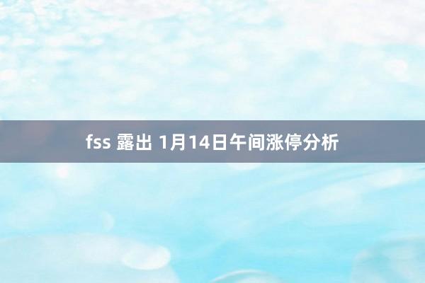 fss 露出 1月14日午间涨停分析