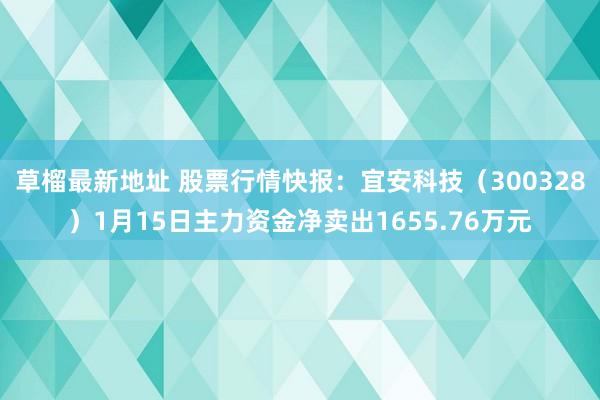 草榴最新地址 股票行情快报：宜安科技（300328）1月15日主力资金净卖出1655.76万元